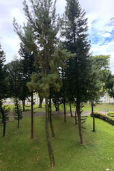 Blk 405 Pandan Gardens (Jurong East), HDB 5 Rooms #497640841